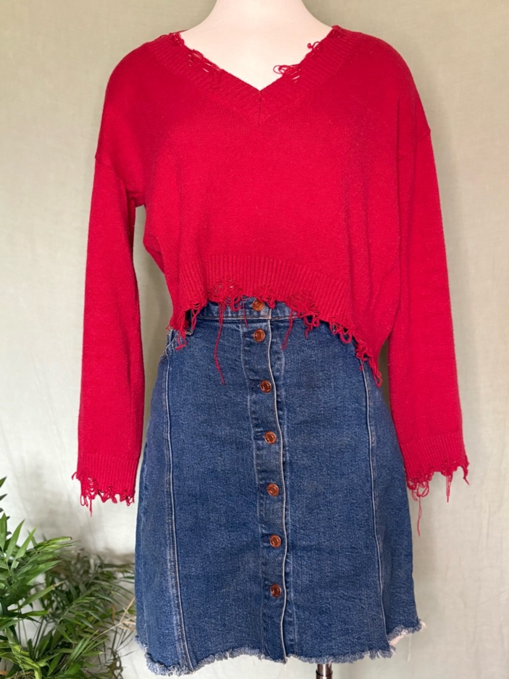 Wild Honey Distressed Cropped V-Neck Sweater in Red